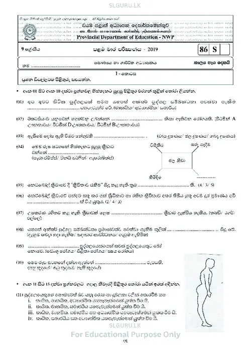 Grade 9 Health First Term 2019 North Western Province (SM) thumbnail